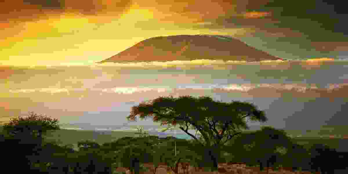 Kilimanjaro Photography Kilimanjaro Photography